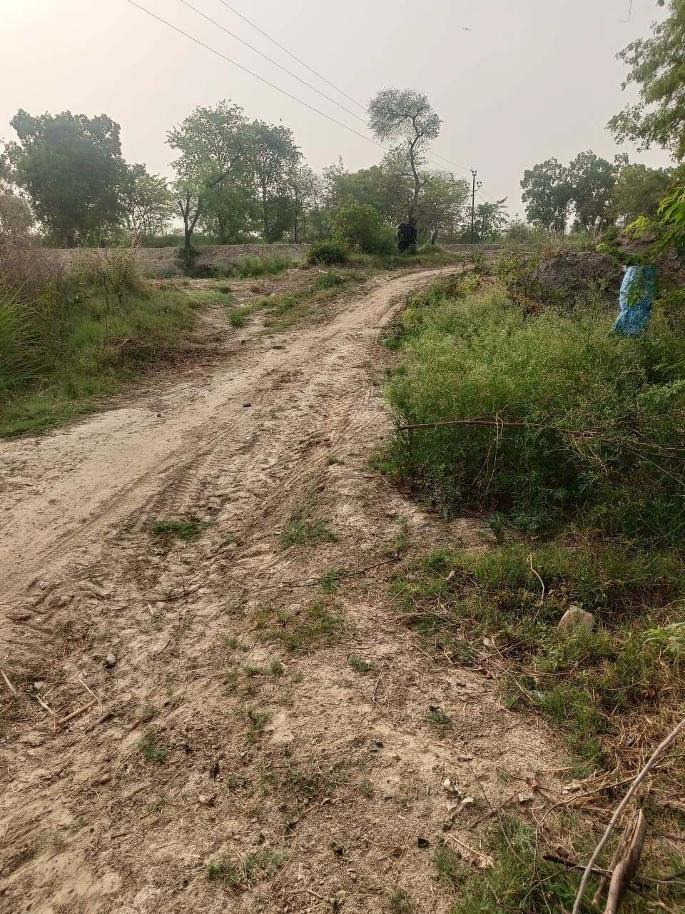 Ajhai Kalan, Uttar Pradesh 281406, India
