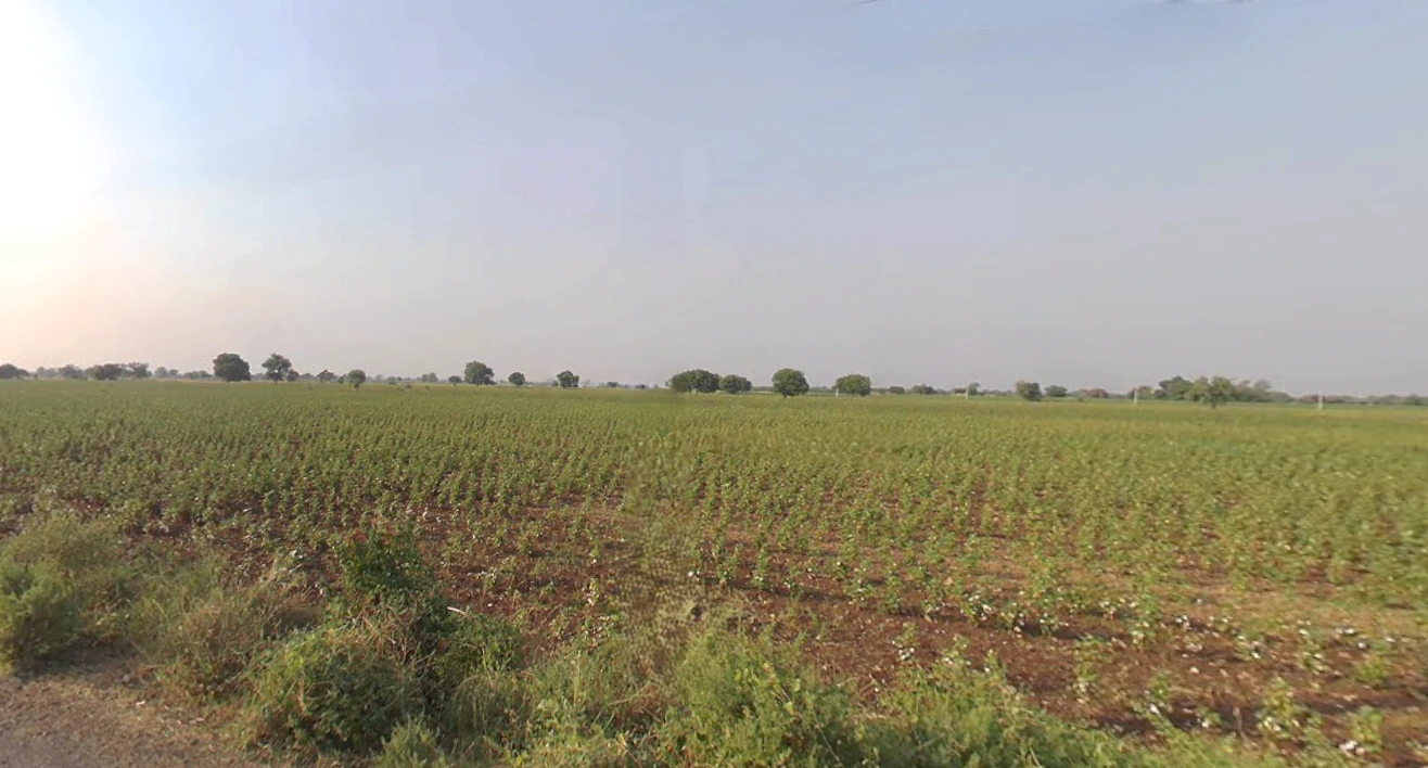 Tranja, Gujarat 387530, India