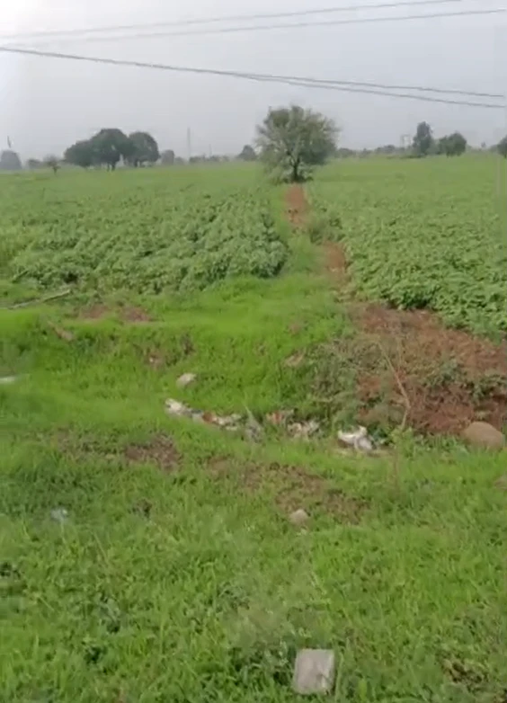 Bangar, Dewas, Madhya Pradesh 455001, India
