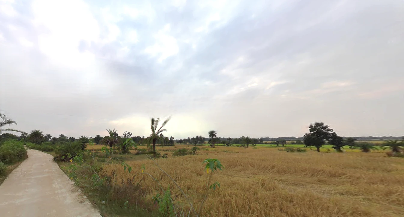 Baghmundi, West Bengal 723152, India