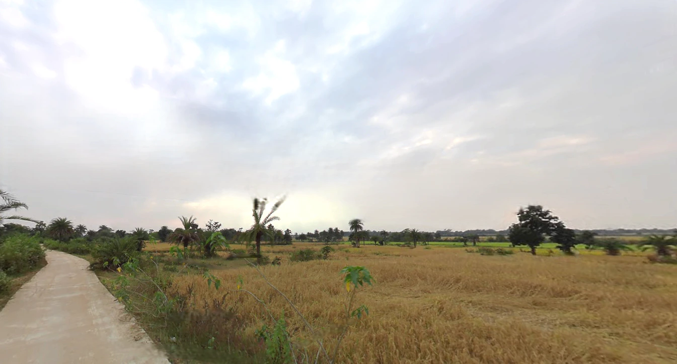 Baghmundi, West Bengal 723152, India