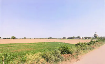 Datauli, Haryana 131101, India preview 2