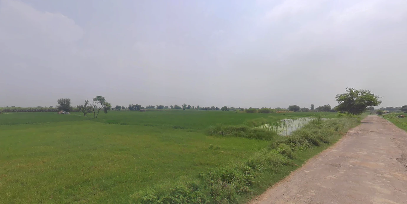 Anupshahar, Uttar Pradesh 203390, India