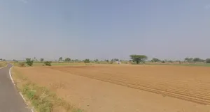 JMX6+CF Machhiel, Gujarat, India preview 3