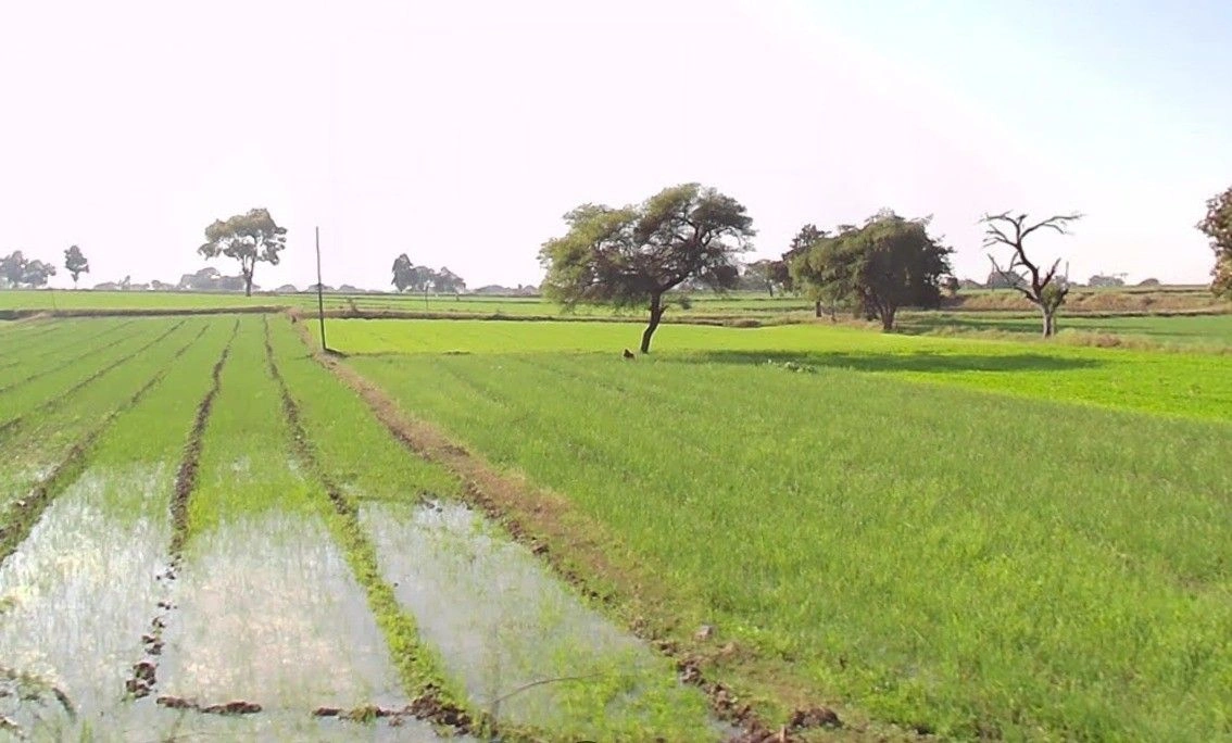 Chirula, Madhya Pradesh, India preview 3