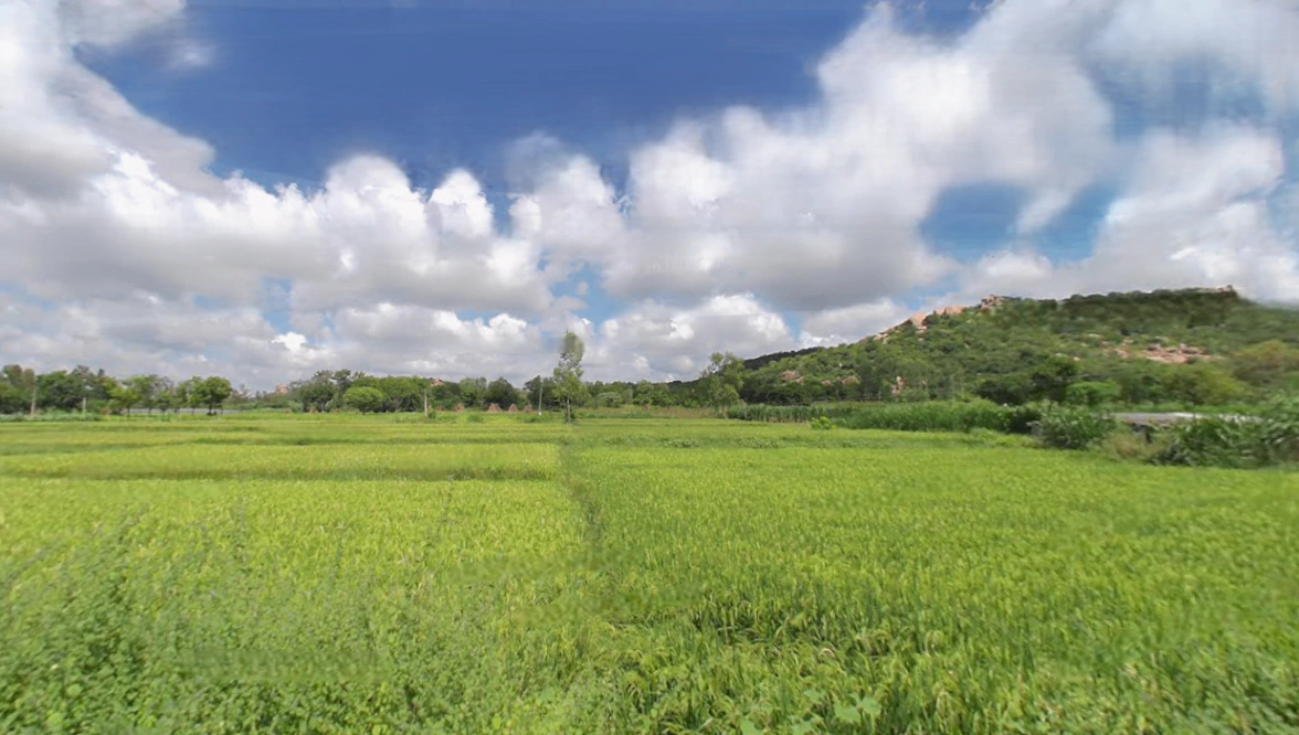 Amangal, Telangana 509321, India