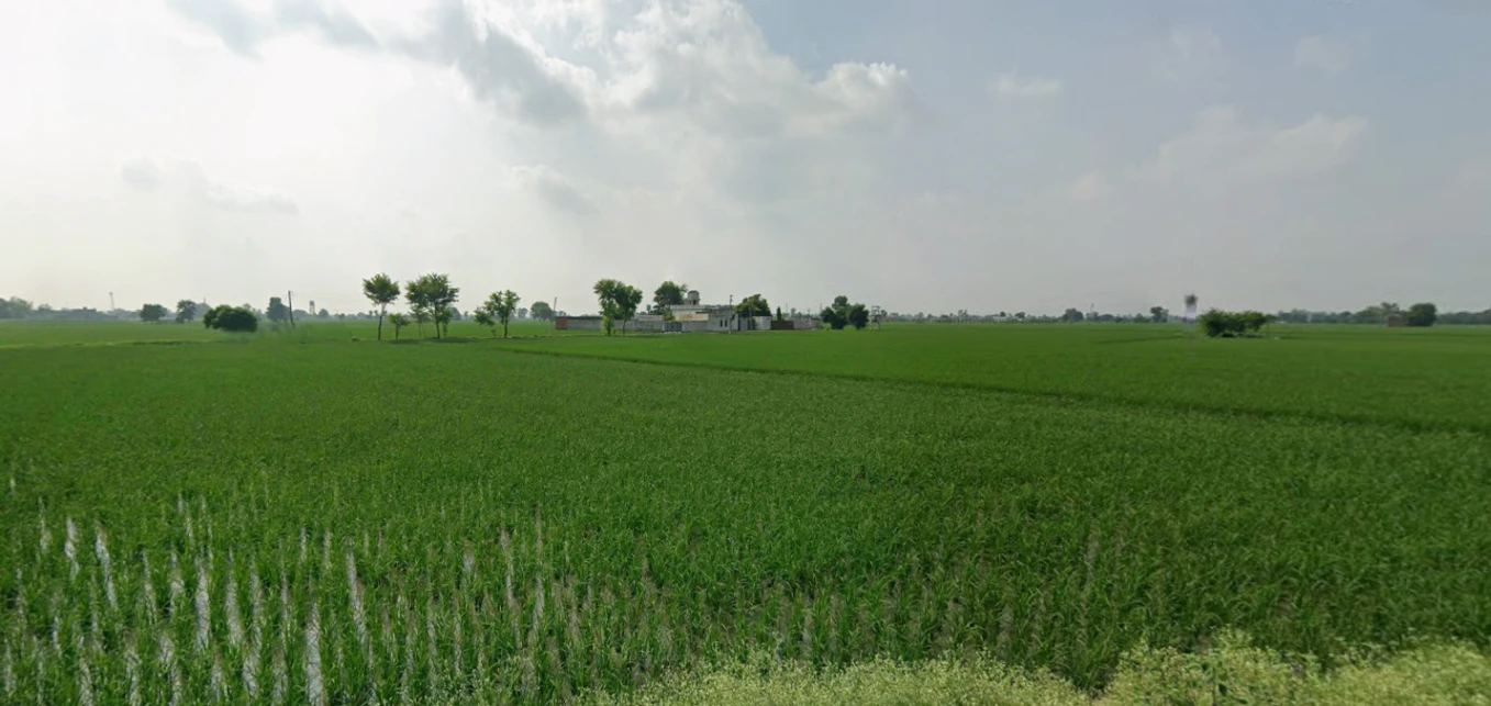 Nurpur Bedi, Punjab 140117, India