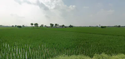 Nurpur Bedi, Punjab 140117, India preview 3