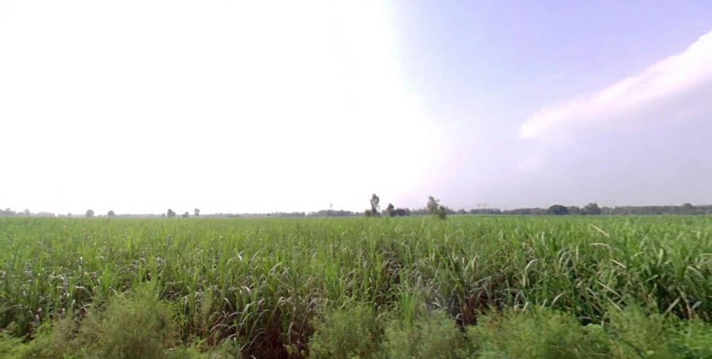 Suheli, Uttar Pradesh, India