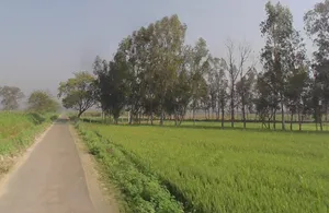 Mawana, Uttar Pradesh, India preview 3