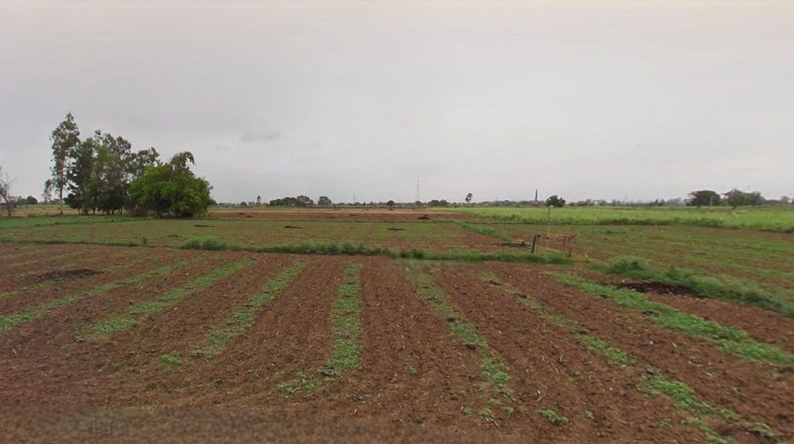 Sampla, Haryana 124501, India