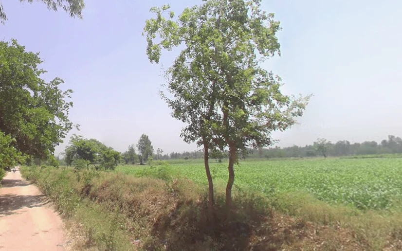 Govindpur, Bareilly, Uttar Pradesh 243502, India