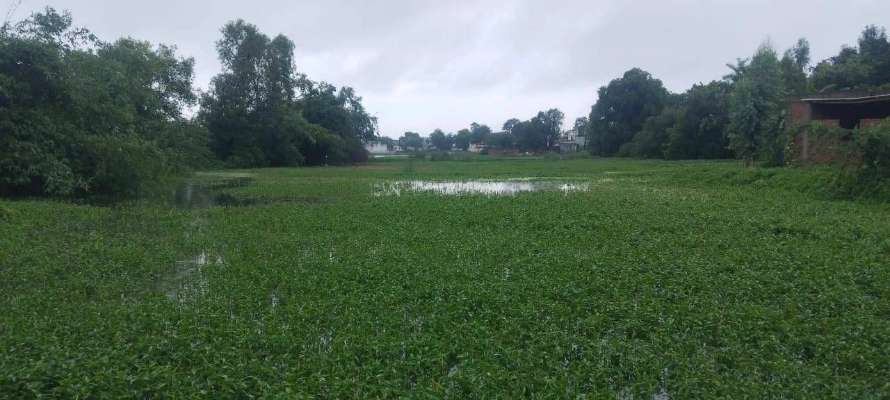 Soraon, Prayagraj, Uttar Pradesh, India