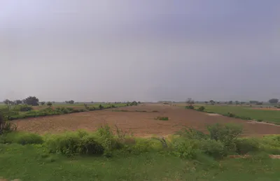 Naurangabad, Haryana 127114, India preview 2