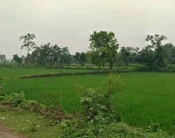 Kachhar, Chhattisgarh 495009, India preview 3