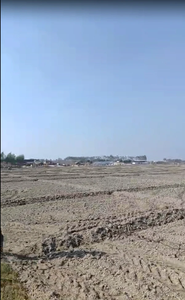 Biswan, Uttar Pradesh 261201, India