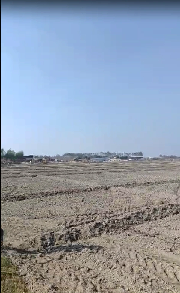 Biswan, Uttar Pradesh 261201, India