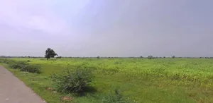 Pahari, Rajasthan, India preview 2