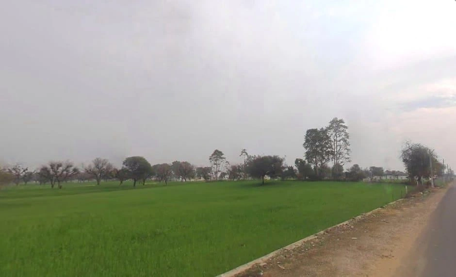 8CF5+5WV, Lamiyan, Rajasthan, India