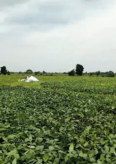 Bhitarwar, Gwalior, Madhya Pradesh 475220, India preview 3