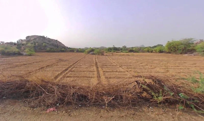 24XC+MP Rughnathpura, Rajasthan, India preview 2