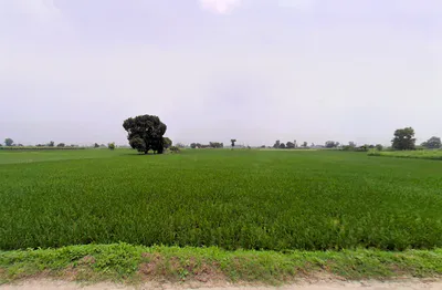 Ballah, Haryana 132040, India preview 3