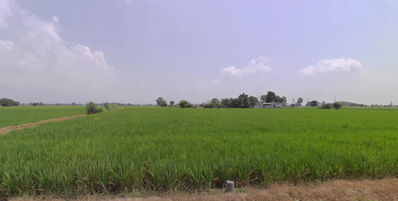 Mallian, Punjab, India