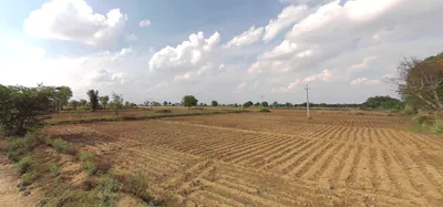 WWP2+648, Muradwas, Rajasthan 301411, India preview 3