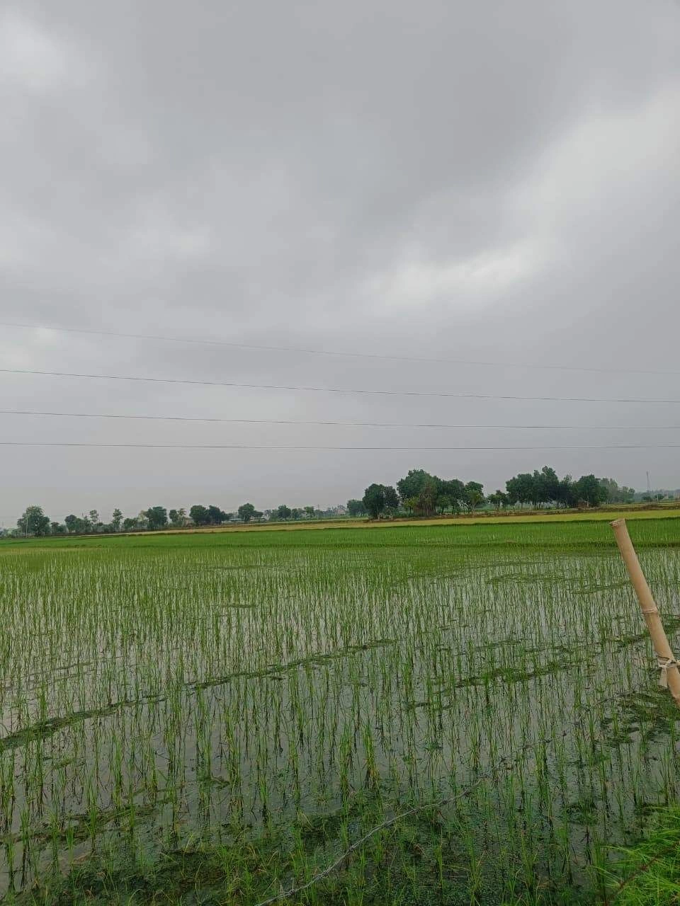 Bukharari, Mathura, Uttar Pradesh, India preview 2