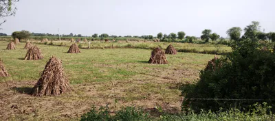 C5Q3+CX, Angora, Varnoda, Rajasthan 313706, India preview 2
