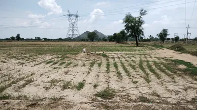 Tanda, Uttar Pradesh 244925, India preview 3
