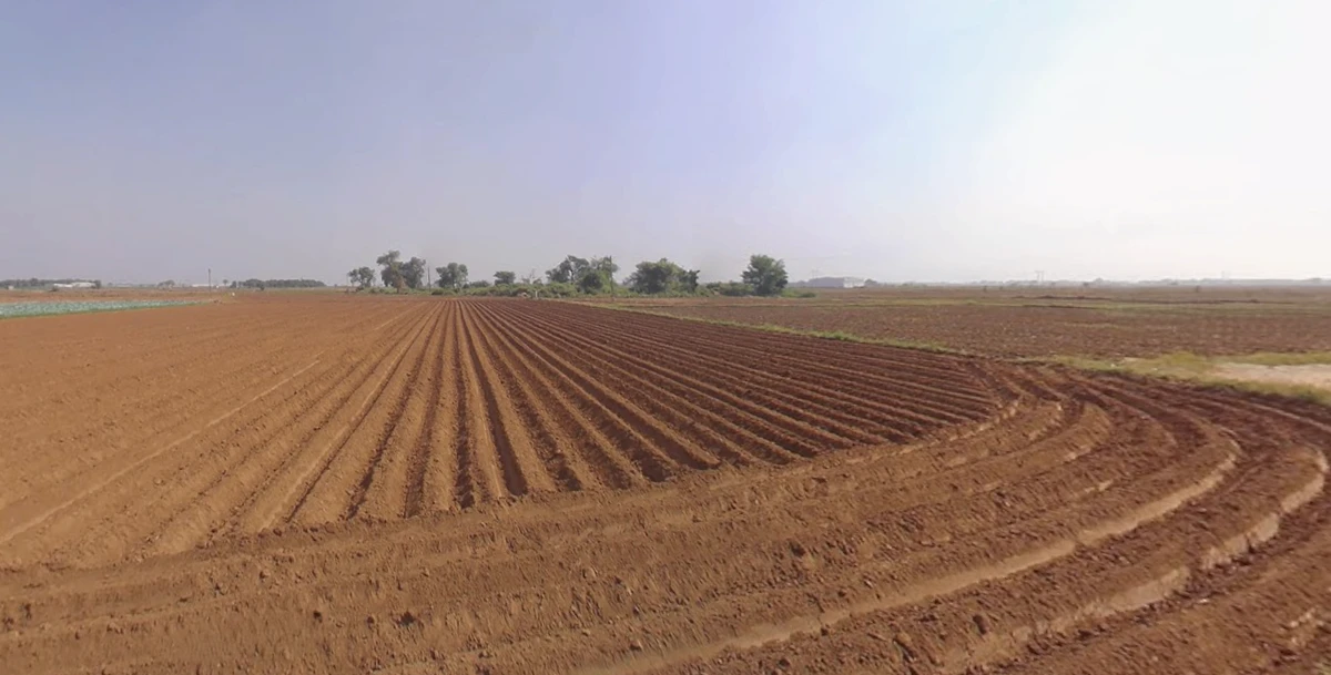 Plasva, Gujarat 362015, India