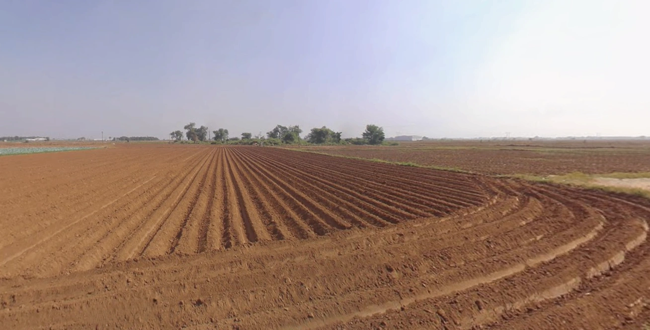 Plasva, Gujarat 362015, India