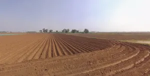 Plasva, Gujarat 362015, India preview 3