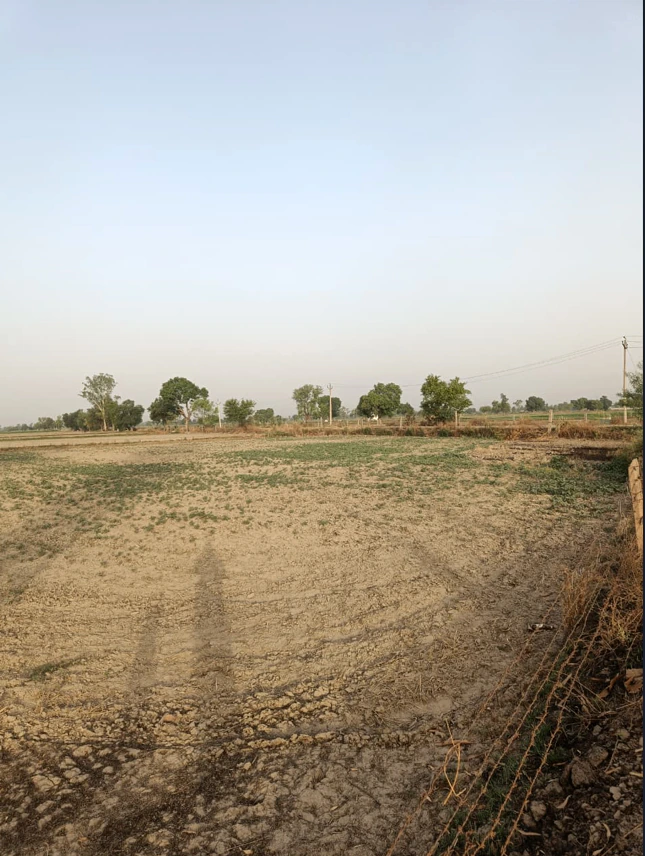 Kakrali, Rajasthan 301028, India