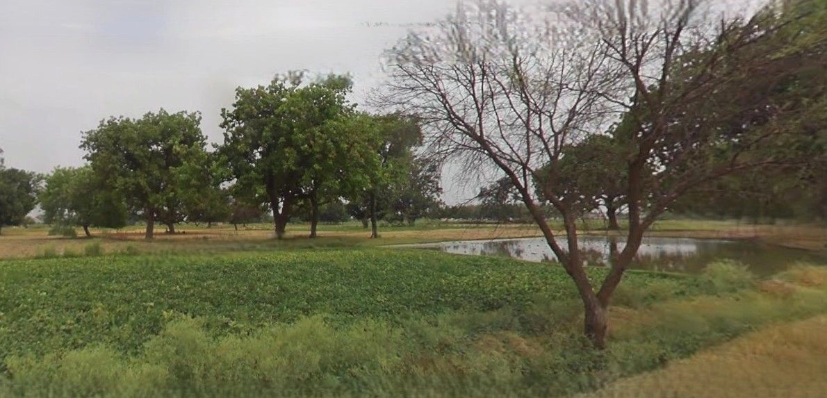 Laksar, Uttarakhand 247663, India