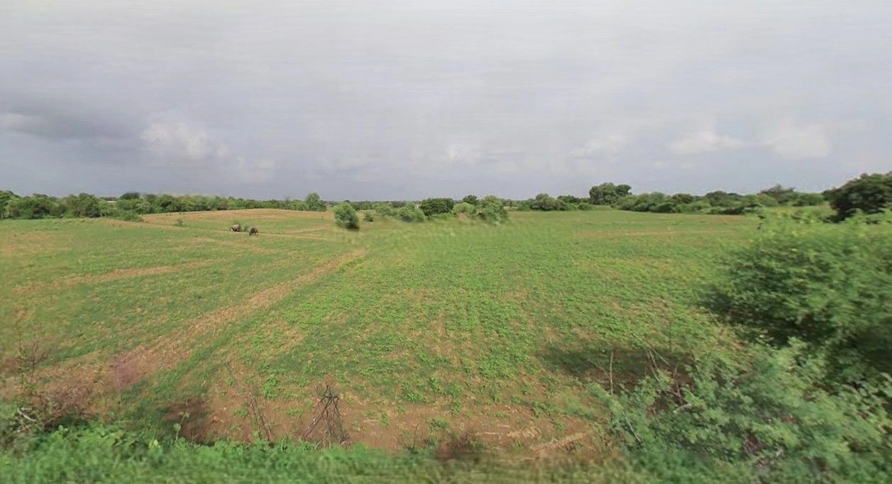 Beri, Haryana 124201, India preview 2