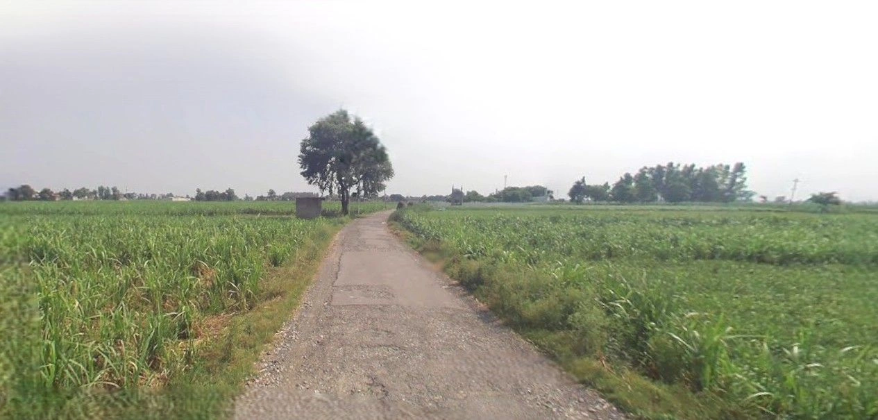 Sardhana, Uttar Pradesh 250342, India