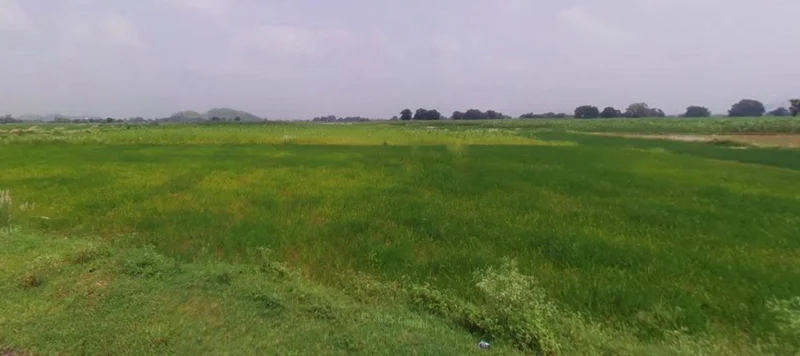 Tarana, Madhya Pradesh 456665, India preview 3