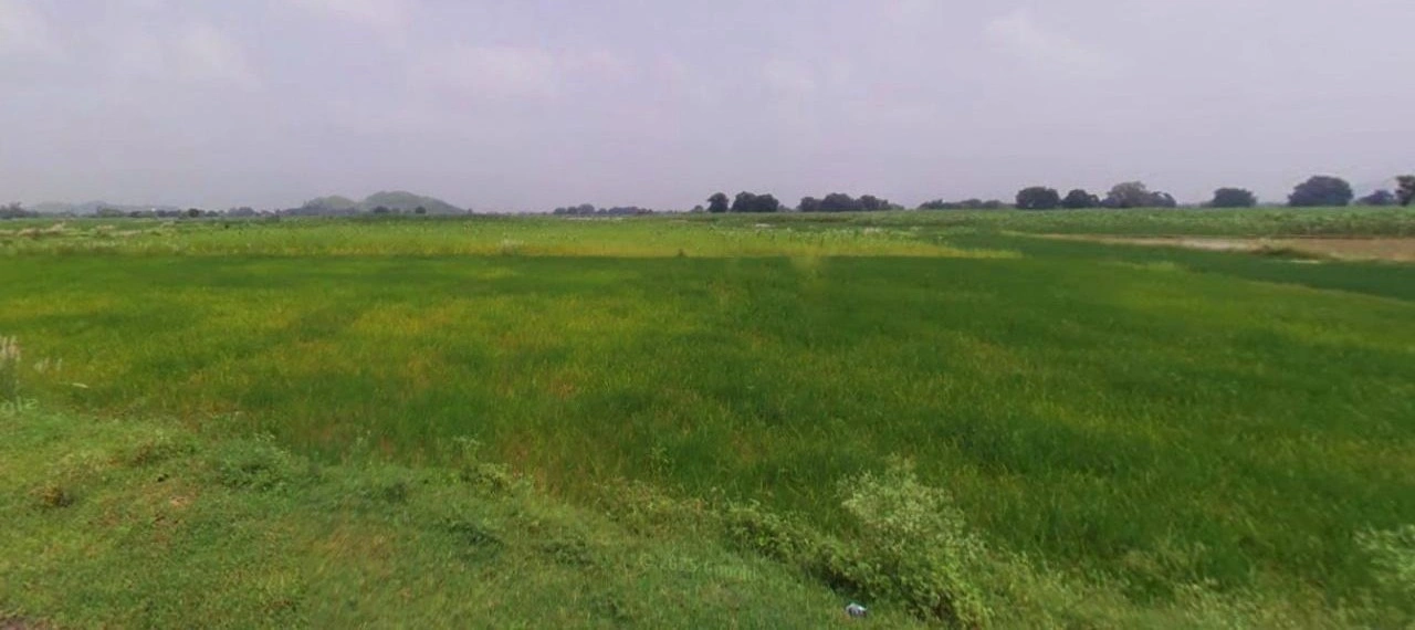 Tarana, Madhya Pradesh 456665, India