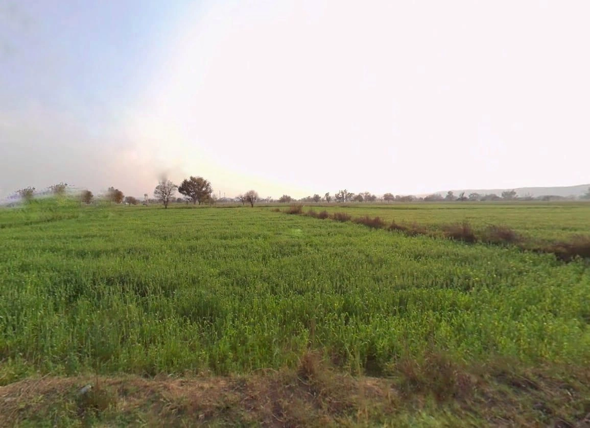 Pali, Rajasthan 301001, India