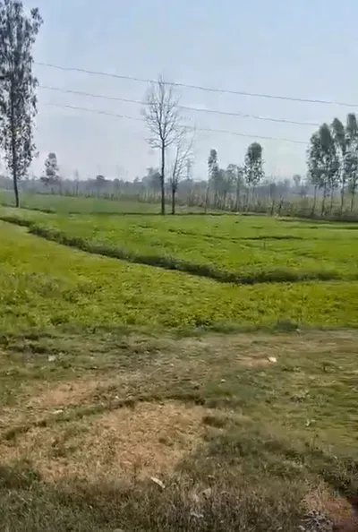 Kolki, Saharanpur, Uttar Pradesh, India preview 3