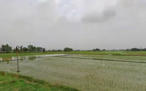 Bannawa, Uttar Pradesh, India preview 3