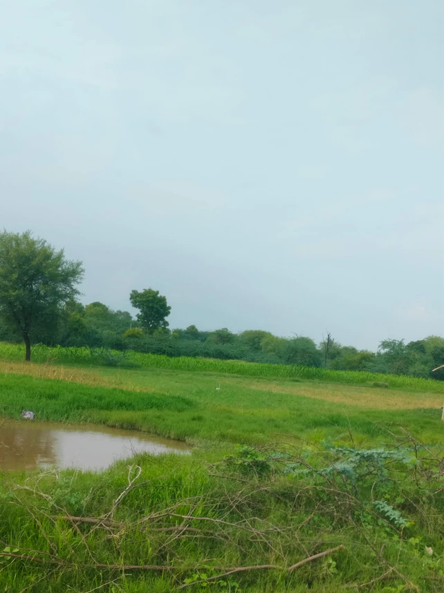 H6VX+9R7, Kanpur Nagar, Chuadharipur, Uttar Pradesh 209217, India