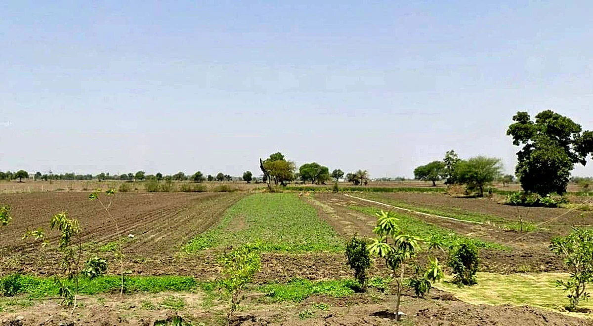 Badgaon, Madhya Pradesh 456443, India