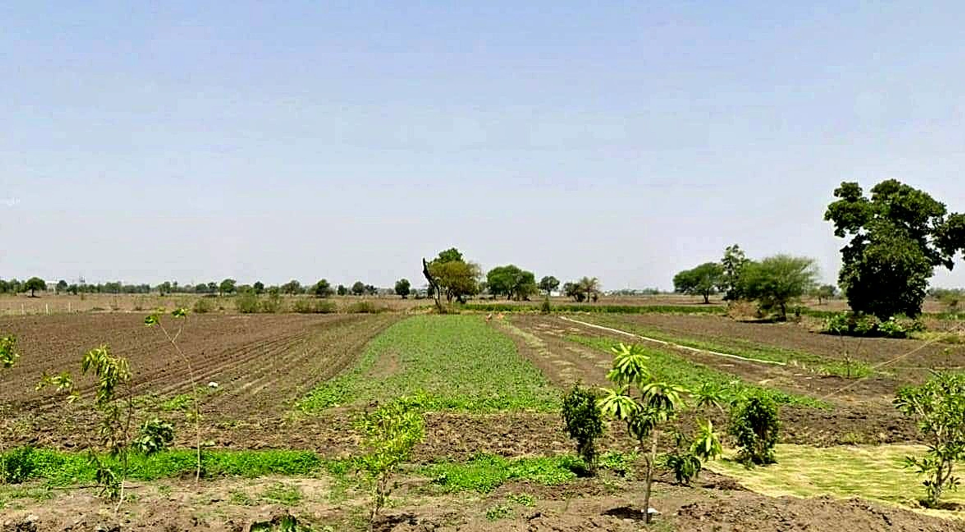Badgaon, Madhya Pradesh 456443, India