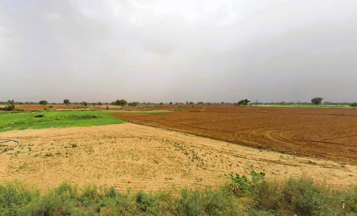 Sondhad, Haryana 121106, India