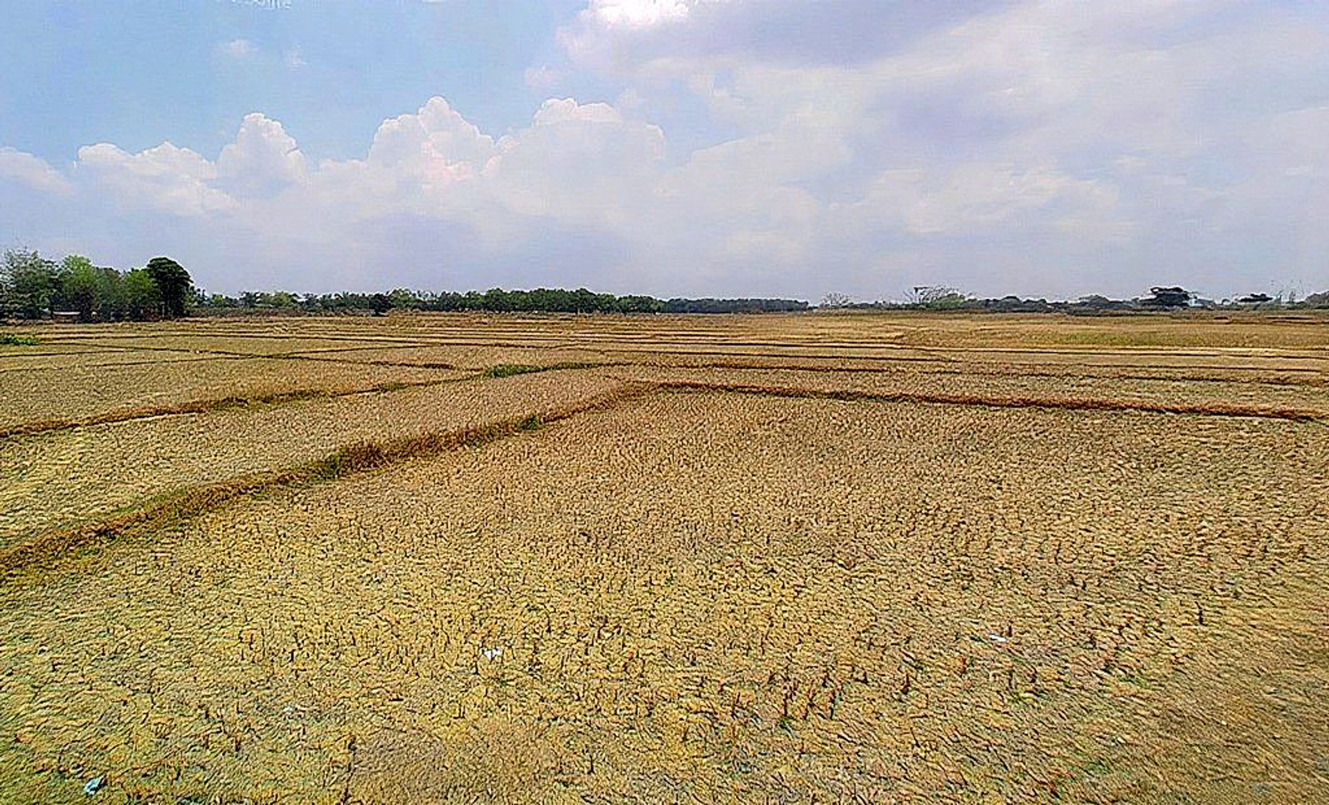 Tumbaguttu, Jharkhand 834010, India