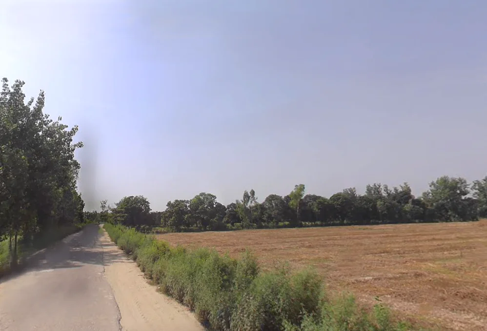 Harthala, Moradabad, Uttar Pradesh, India preview 3