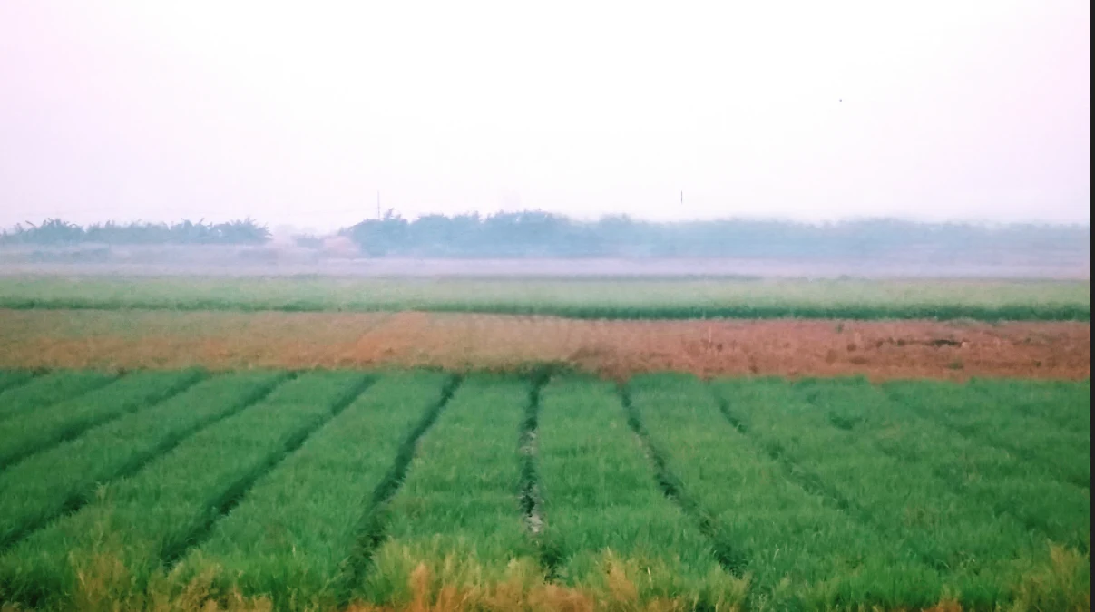 Sirsa, Haryana, India preview 2